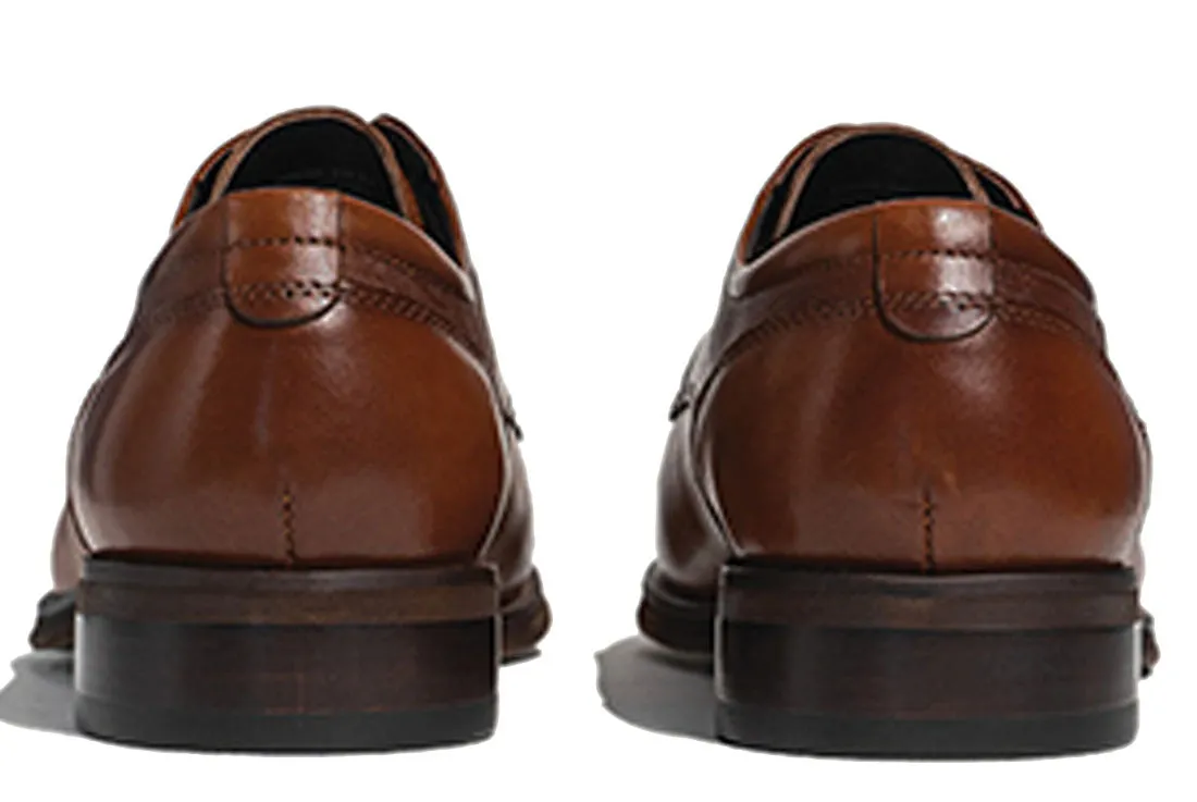Boise Derby - Brown