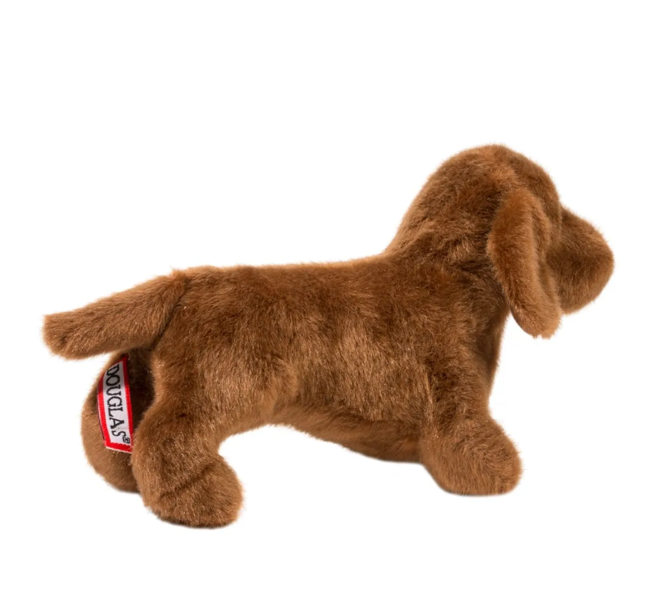 Dilly Dachshund