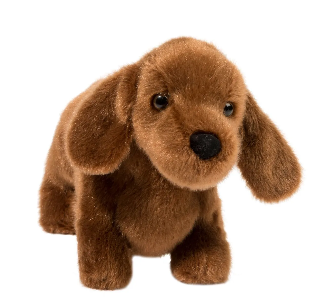 Dilly Dachshund