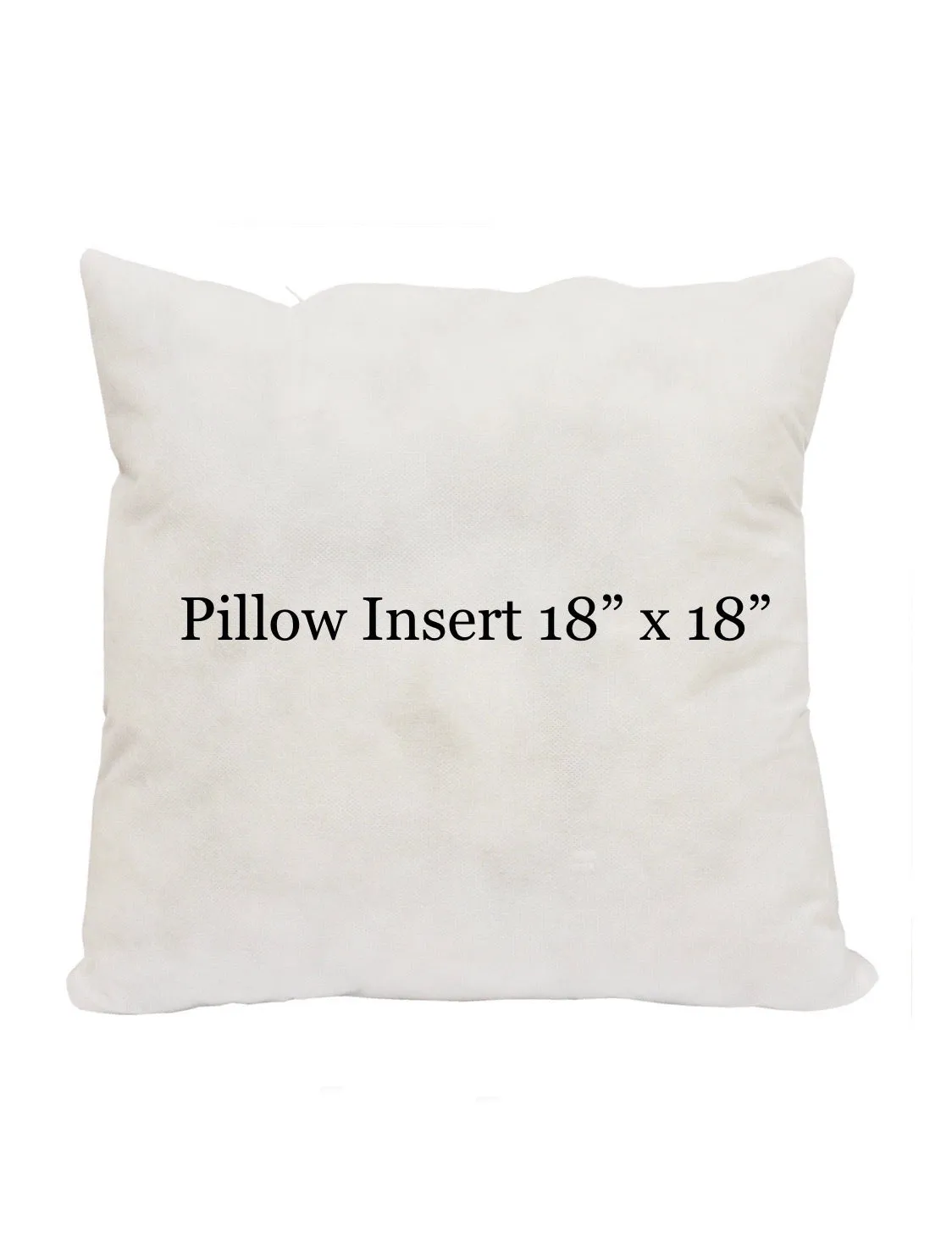 Sam Trick R Treat Pillow cover 16 x 16”