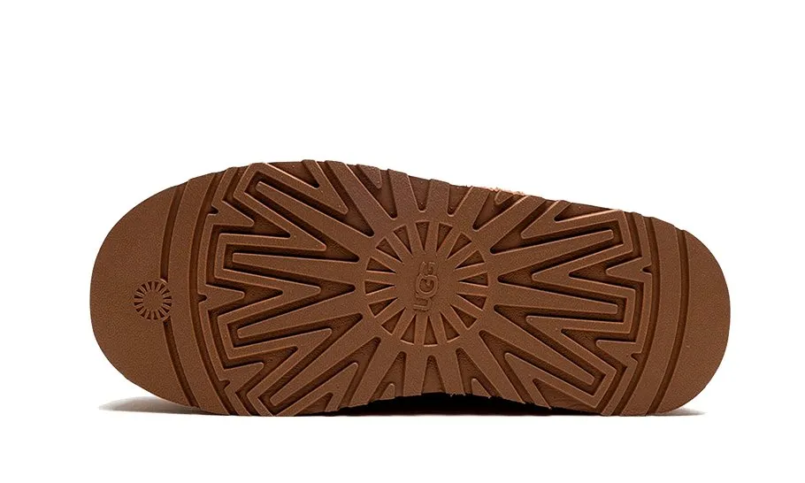 UGG Tazz Braid Hardwood