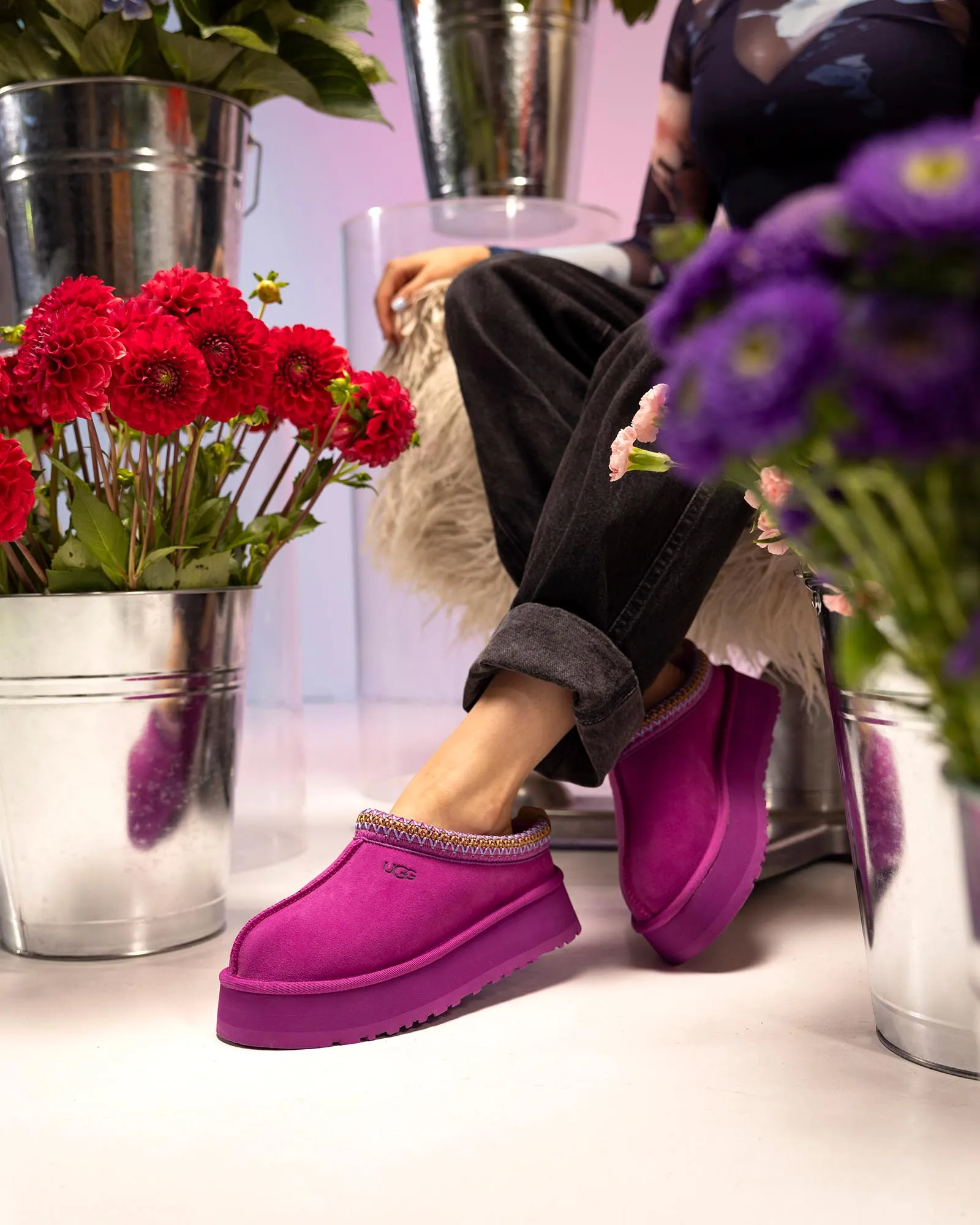 UGG Tazz Slipper Mangosteen