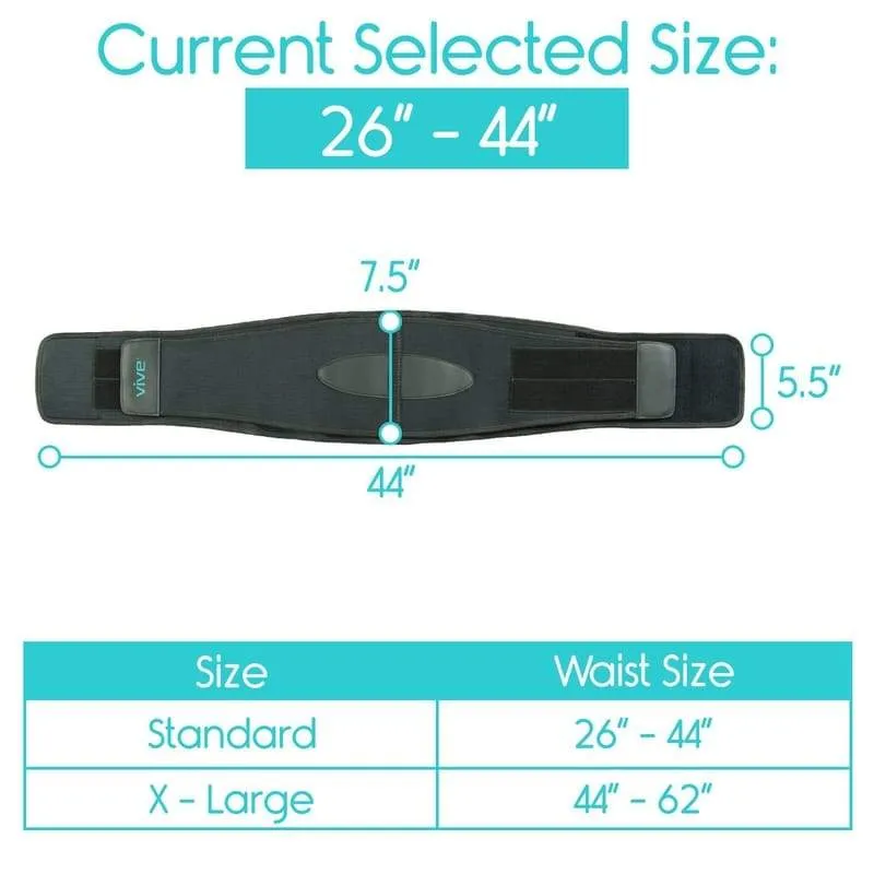 Vive Back Brace